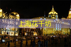 虫儿飞
